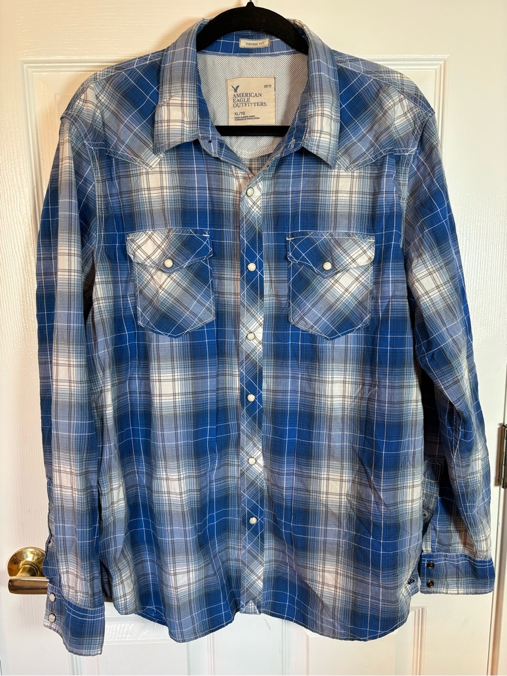 American Eagle Outfitters Blue and White Plaid Pearl Snap Button-Down Shirt